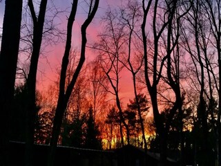 Casa de vacaciones Hombourg Entorno 37