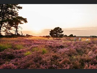 Vakantiehuis Hombourg Omgeving 37