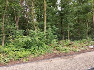 Ferienhaus Hombourg Umgebung 39