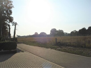 Vakantiehuis Peer Omgeving 39