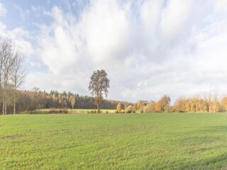 Vakantiehuis Peer Omgeving 24