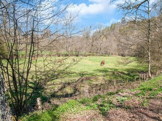 Maison de vacances Stoumont Environnement 30