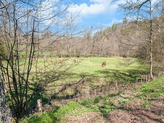 Vakantiehuis Stoumont Omgeving 30