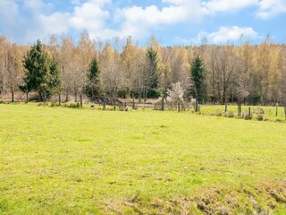 Holiday house Stoumont Environment 31