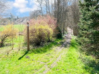Holiday house Stoumont Outdoor Recording 4