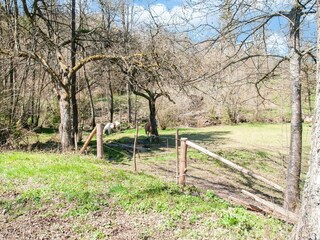 Holiday house Stoumont Environment 34