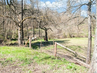 Vakantiehuis Stoumont Omgeving 34