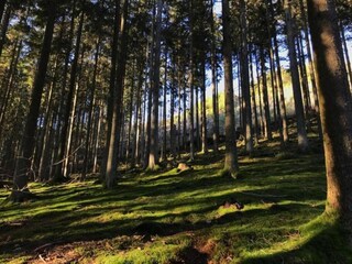 Casa per le vacanze Stoumont Ambiente 36