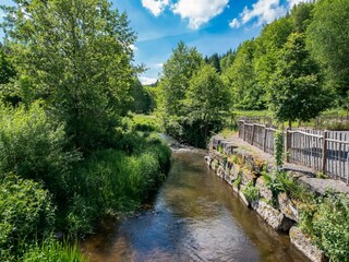 Ferienhaus Gedinne Umgebung 35