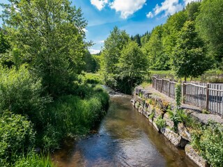 Maison de vacances Gedinne Environnement 34