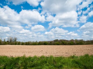 Chalet Hotton Ambiente 31