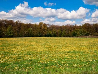 Chalet Hotton Ambiente 32