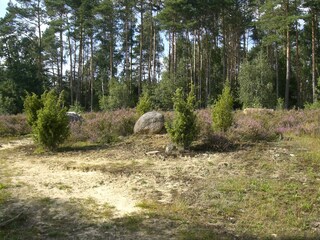 Stille Heide, aber doch wild und romantisch.