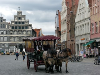 Romantische Kutschfahrt in der "Rosenstadt"