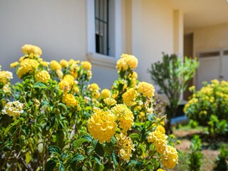 Appartement Els Poblets  40