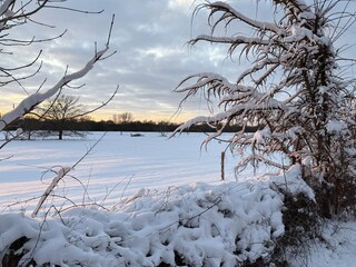 Bremen Winter 12/2025