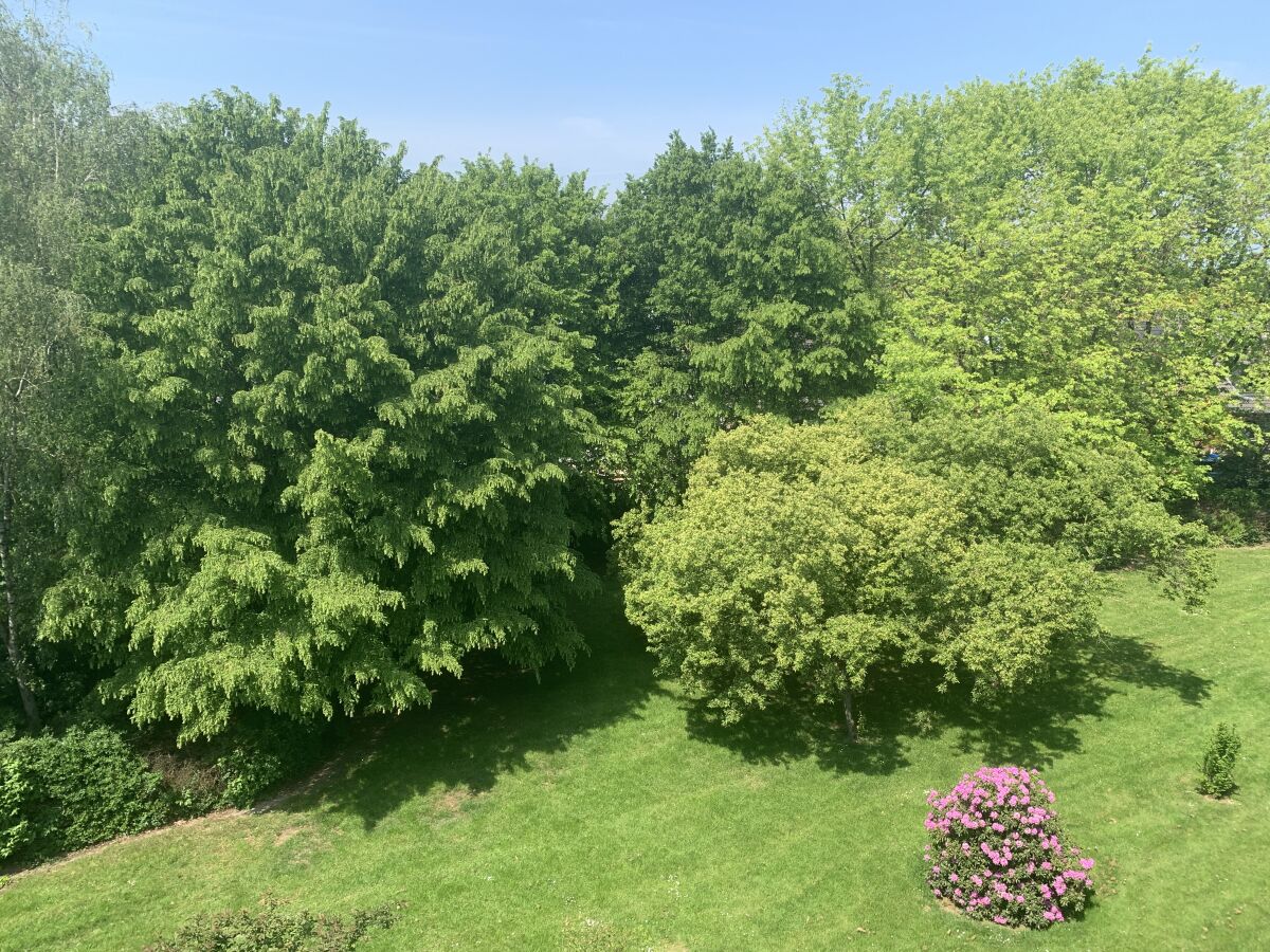 Ausblick vom Wohnzimmer, Schlafzimmer und Balkon