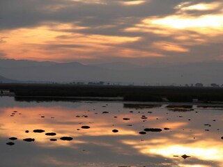 Casa per le vacanze Gruissan Ambiente 17