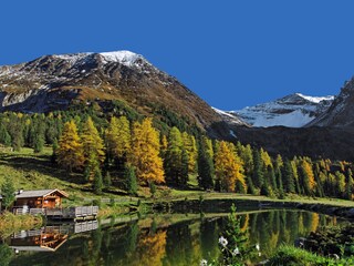 Appartamento per vacanze Ramsau im Zillertal Ambiente 30