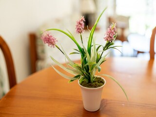 Apartment Roquetas de Mar  37