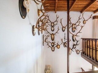 Holiday house Alajar  40