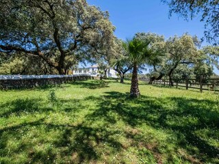 Holiday house Alajar Environment 35