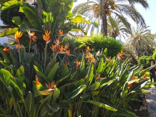 Apartamento Elviria  40