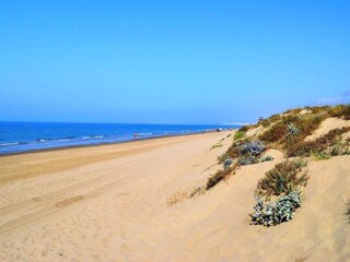 Appartement Elviria Environnement 36