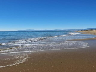 Appartement Elviria Environnement 36