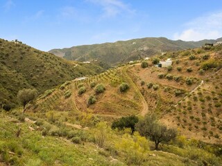 Holiday house Sedella Environment 34