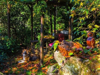 Casa de campo Vilaboa  37