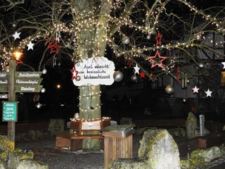 Holiday house Vöhl Environment 31