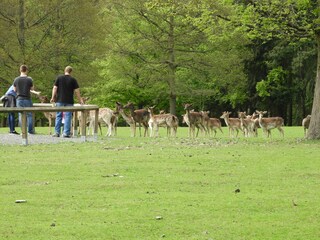 Holiday house Vöhl Environment 33