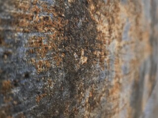 Casa per le vacanze Torri del Benaco Registrazione all'aperto 10