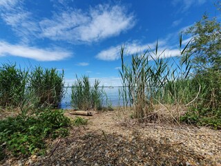 Apartamento de vacaciones Übersee Entorno 30