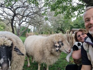 Appartamento per vacanze Übersee Documento 40