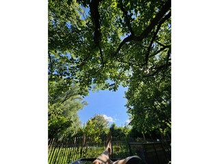 Apartamento de vacaciones Übersee Grabación al aire libre 11