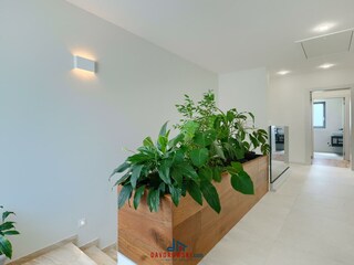 Villa Galižana Caratteristiche 15