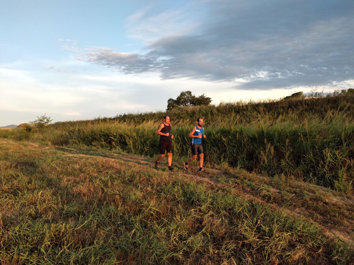 Jogging entlang der Felder