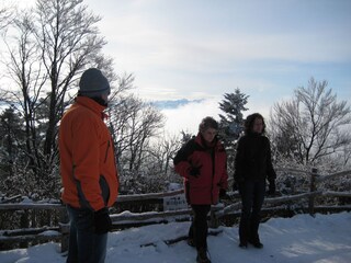 Winter auf dem Pfänder