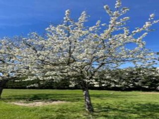 Holiday house Saint-Cibard Environment 29