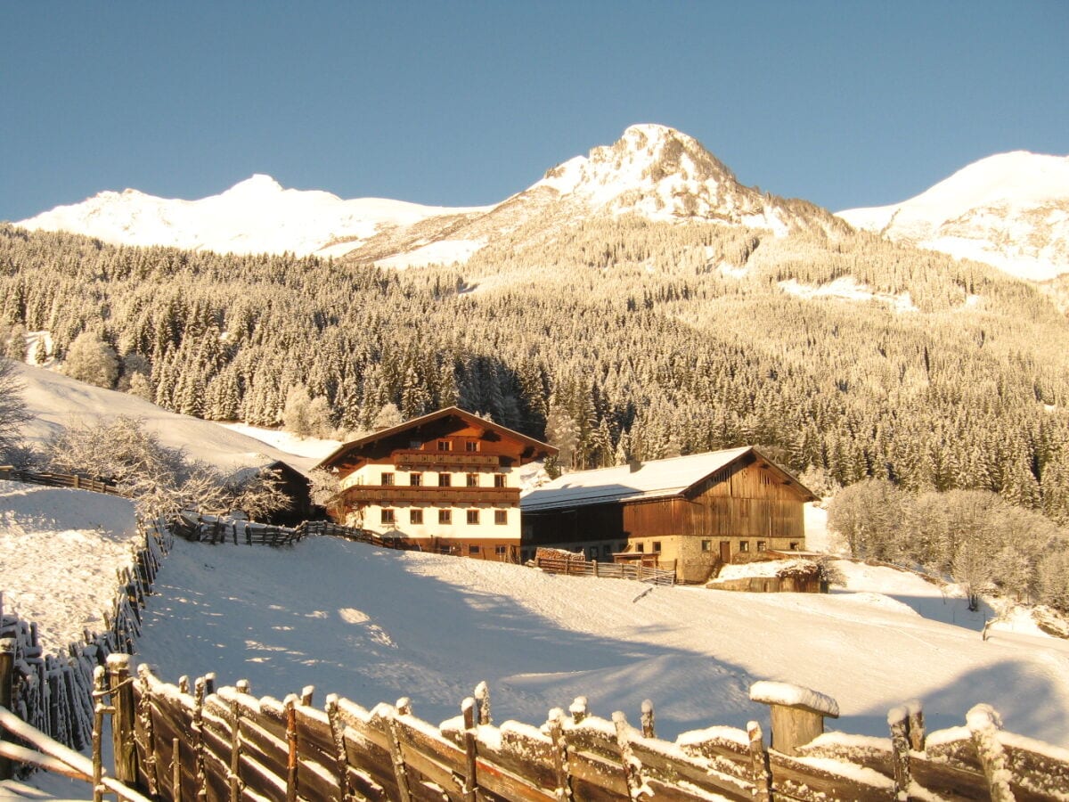 Biohof Maurachgut - Urlaub in Skipisten-Nähe!