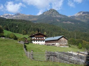 Bauernhof Biohof Maurachgut - Bad Hofgastein - image1