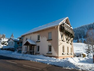 Vakantiehuis Gérardmer Buitenaudio-opname 3