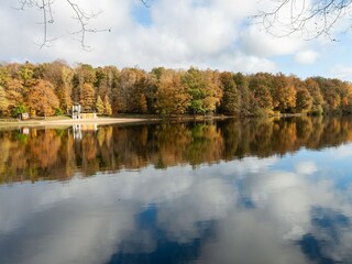 Ferienhaus Chimay Umgebung 26