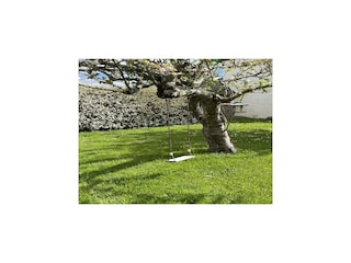 Ferienhaus Plozévet Außenaufnahme 6