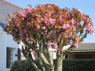 Maison de vacances Plozévet Enregistrement extérieur 7
