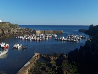 Vakantiehuis Plozévet Omgeving 35