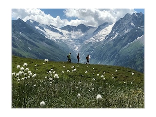 Bergtour Tristner Mayrhofen