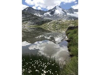 Appartamento per vacanze Ramsau im Zillertal Ambiente 36